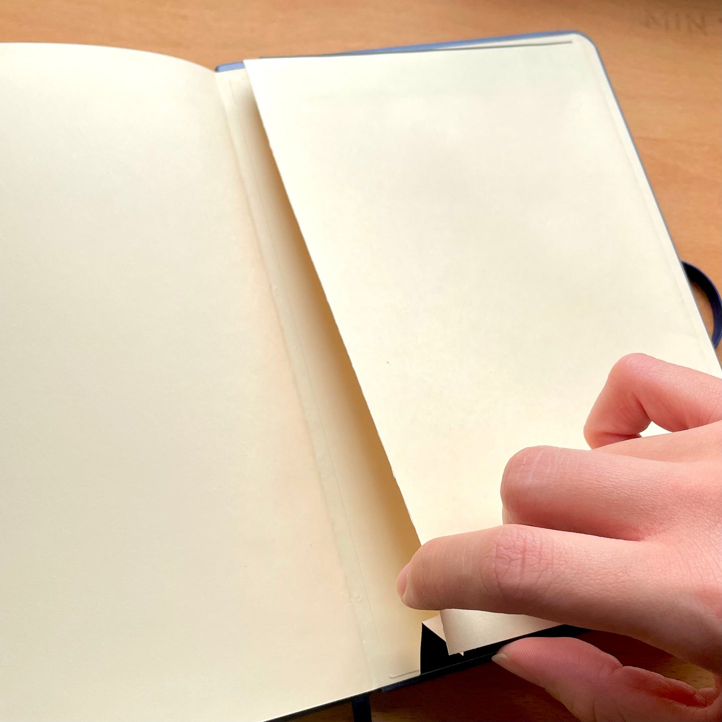 A5 Lined Hardcover Journal - Adulting in Progress