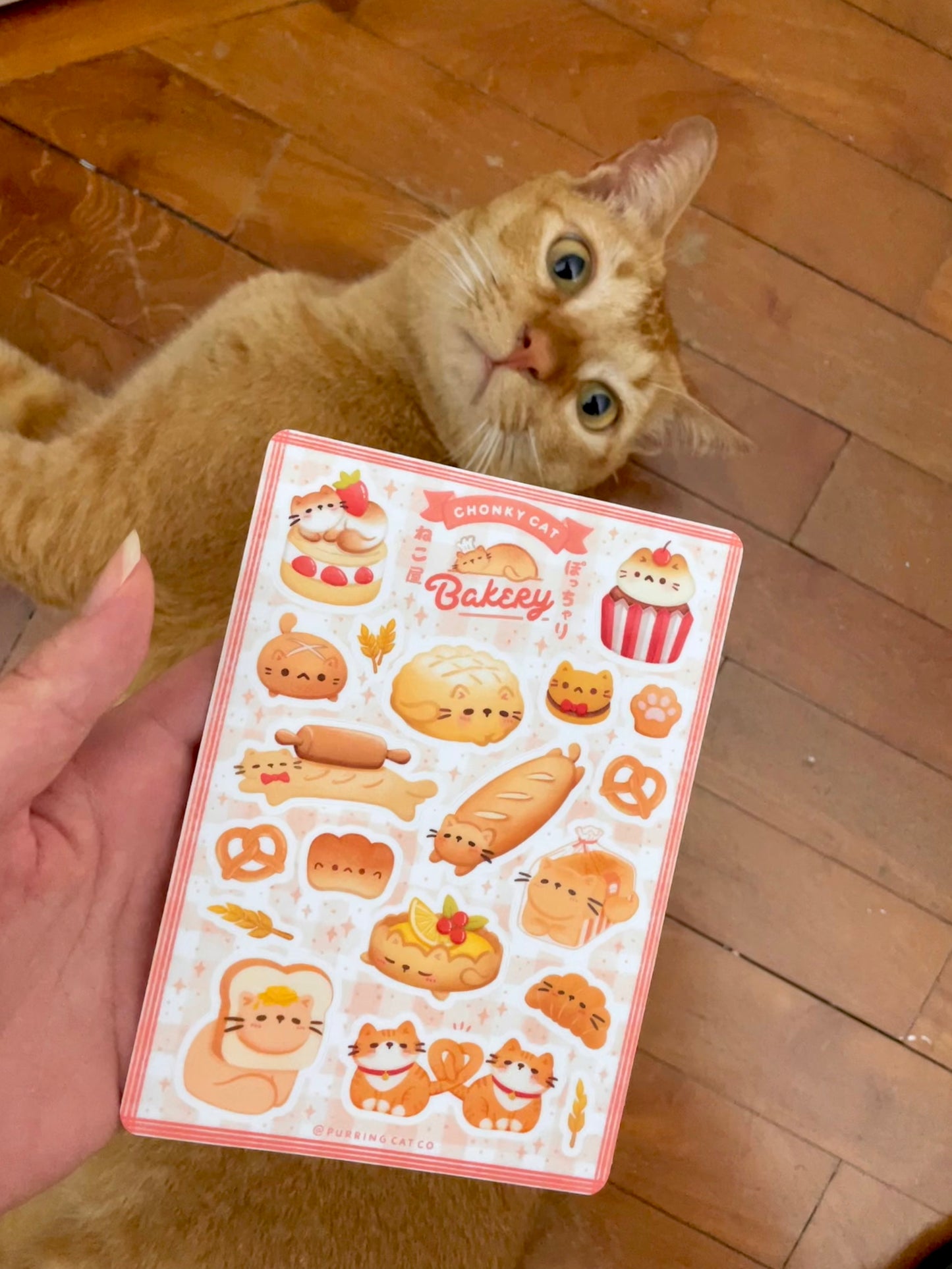 Chonky Cat Bakery Sticker Sheet
